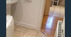 2 Beautiful Double Rooms Available – RM6 4BT